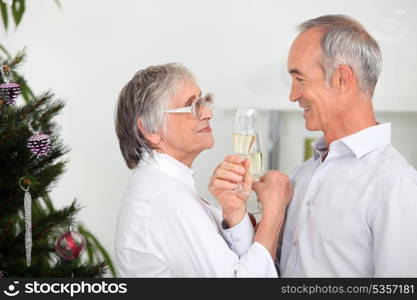 Couple celebrating Christmas