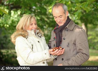 Couple collecting chestnuts