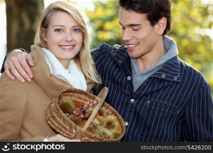 Couple collecting chestnuts in the woods