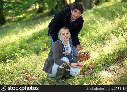 Couple collecting mushrooms in the forest
