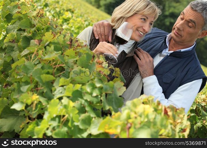 couple drinking wine in a vineyard