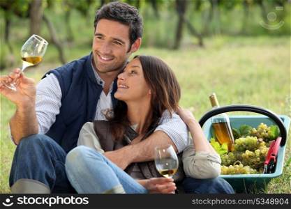 couple enjoying picnic