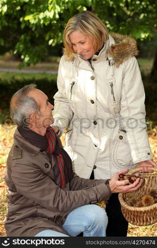 Couple gathering chestnuts in basket