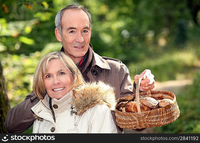 Couple gathering mushrooms in basket
