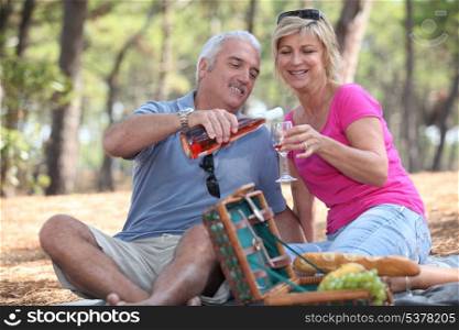 Couple having a picnic