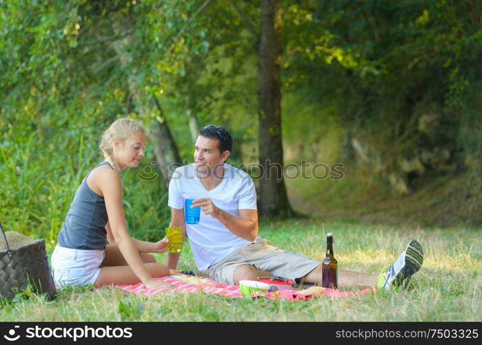 couple having a picnic toasting with their glasses