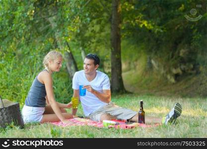 couple having a picnic toasting with their glasses