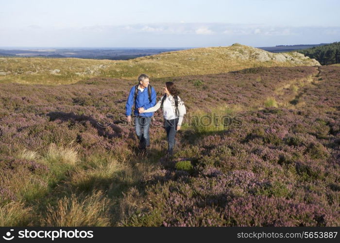 Couple Hiking Across Moorland Covered With Heather