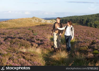 Couple Hiking Across Moorland Covered With Heather