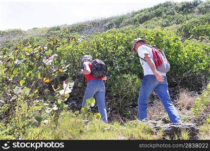Couple hiking through vineyard