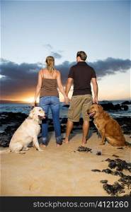 Couple Holding hands and Walking Dogs on the Beach