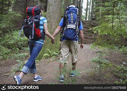 Couple holding hands, walking in forest