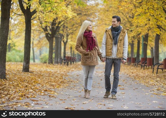 Couple holding hands while walking in park during autumn