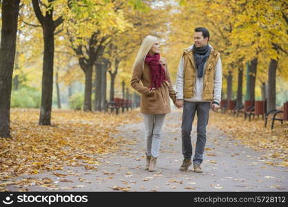 Couple holding hands while walking in park during autumn