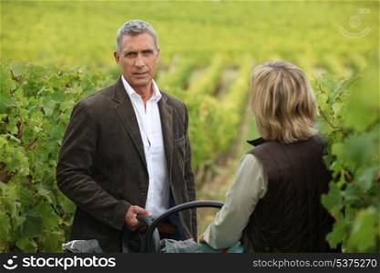 Couple in a vineyard