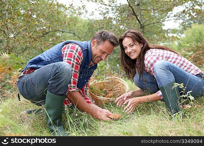 Couple in forest picking mushrooms in autumn