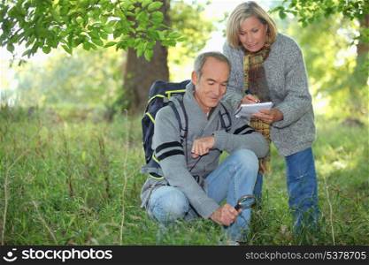 Couple inspecting plants in the forest and making a log