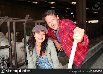 Couple of farmers standing in barn