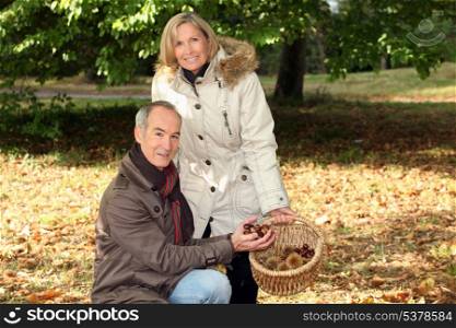 couple of happy pensioners picking chestnuts