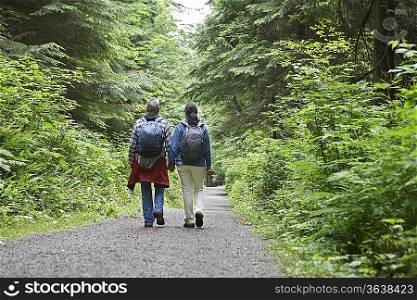 Couple on forest trail, rear view