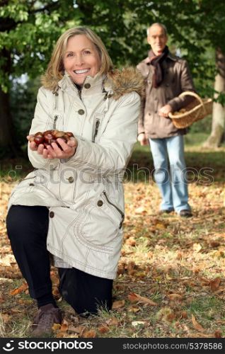 Couple picking chestnut.