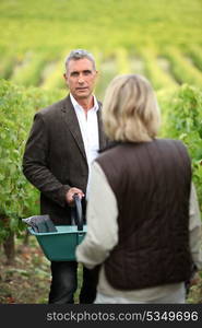 Couple picking grapes