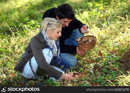 Couple picking mushrooms
