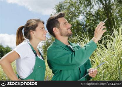 couple planting a tree together on a summer day