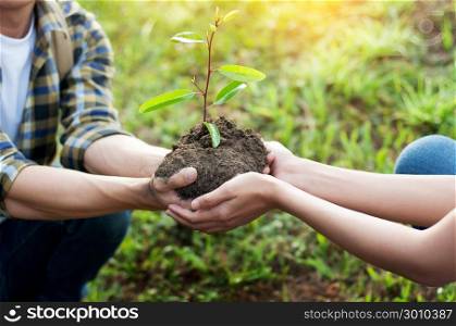 couple planting and watering a tree together on a summer day in park, volunteering, charity people and ecology Environment and ecology concept