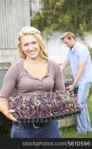Couple Planting Seedlings On Organic Farm