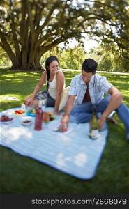 Couple sitting on picnic blanket in park