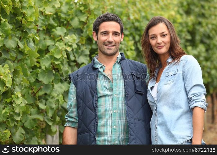 Couple standing amidst the vines