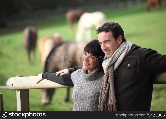 Couple standing in a paddock