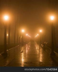 Couple walking by foggy park alley in th evening. Kyiv, Ukraine