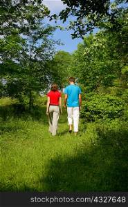 Couple walking in meadow