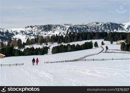 Couple Walking on the Alp in Rinderplatz Pasture in South Tyrol Italy