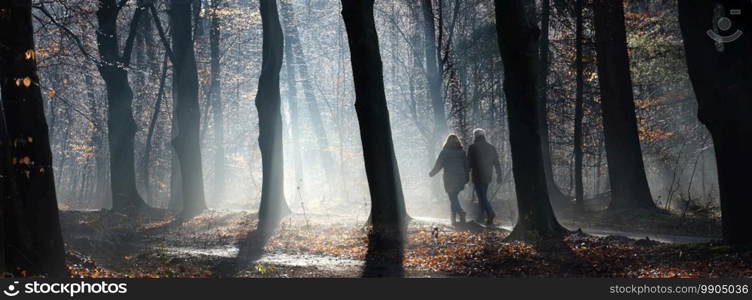 couple walks in beautiful foggy sunny winter forest near utrecht in holland