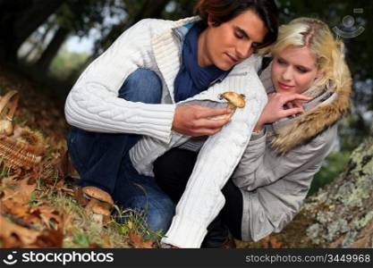 couple watching a mushroom in forest