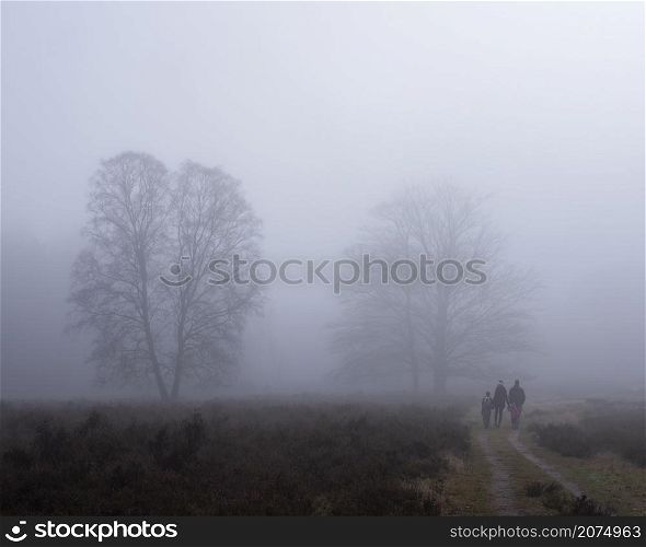 couple with children walks in winter forest near utrecht in the. netherlands on cold foggy day