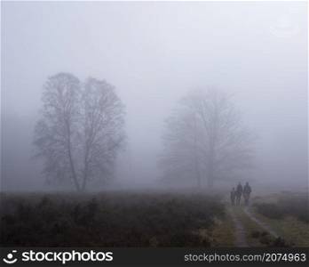 couple with children walks in winter forest near utrecht in the. netherlands on cold foggy day