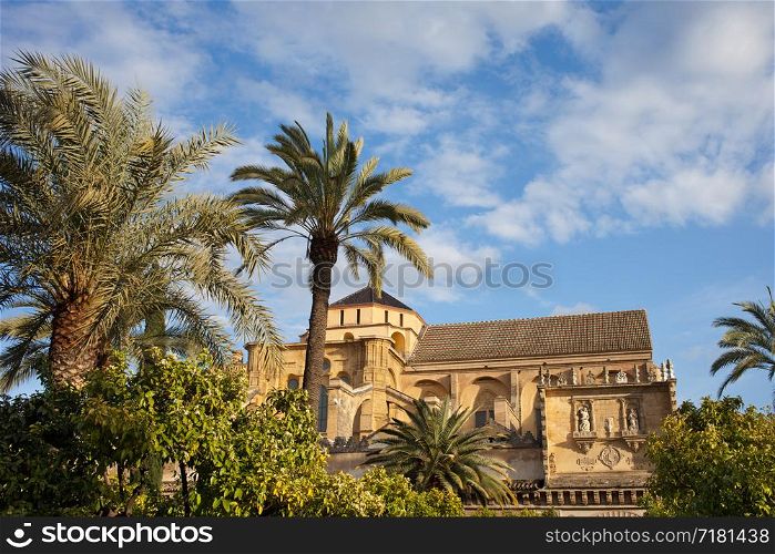 Courtyard garden and Mezquita Cathedral (The Great Mosque) historic architecture in Cordoba, Spain, Andalusia region.