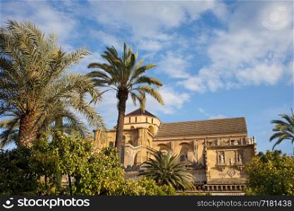 Courtyard garden and Mezquita Cathedral (The Great Mosque) historic architecture in Cordoba, Spain, Andalusia region.