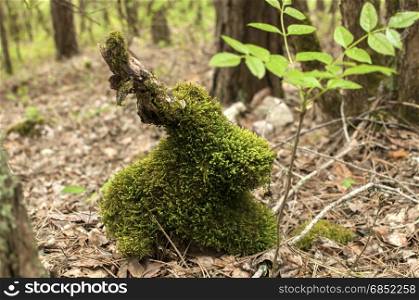 Covered with fresh green moss fallen dry wood in spring forest