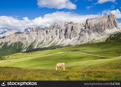 Cow at the green grass alpine meadow pasture