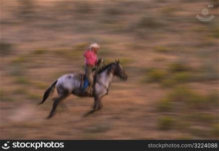 Cowboy Lassoing Horse