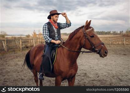 Cowboy riding a horse in texas country, saloon on background, western. Vintage male person on horseback, wild west adventure. Cowboy riding a horse in texas country, saloon