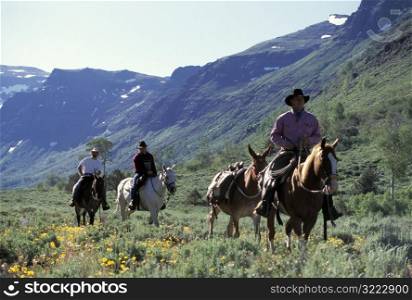Cowboys Riding Horses in the Mountains