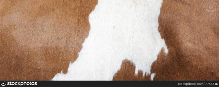 cowhide with abstract brown and white pattern on side of cow
