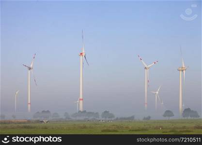 cows and wind turbines in morning mist on german countryside of lower saxony unde blue sky in summer