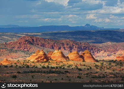 Coyote Buttes of the Vermillion Cliffs Wilderness Area, Utah and Arizona